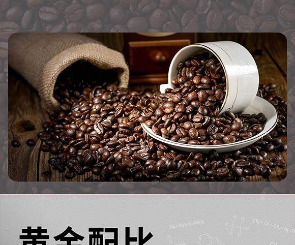 �_������Ҭ���F�������