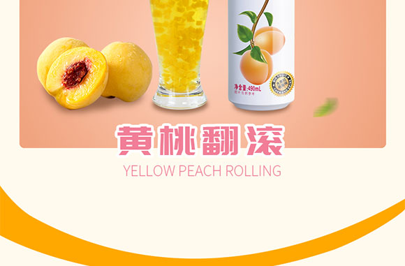 �w�˹�����֭