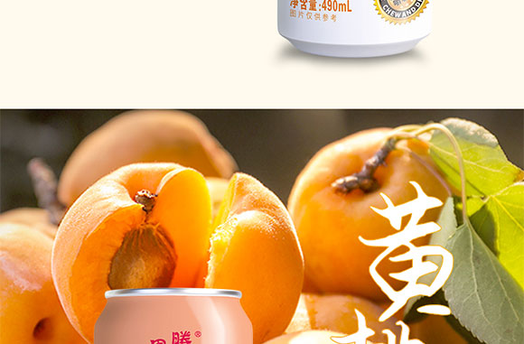 �w�˹�����֭