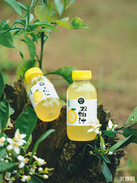 真植雙柚汁 真植雙柚汁