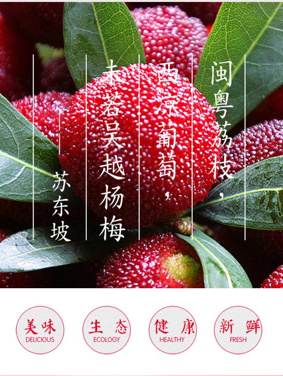 ֥ʿ����(d��ng)ʳƷ���㽭�����޹�˾-��÷֭_04