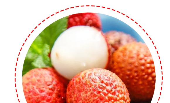 �����-��֦-�a(ch��n)Ʒ����_05