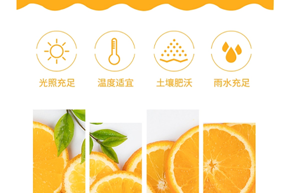 ɽ���ڞIʳƷ������޹�˾--�a(ch��n)Ʒ����(c��)����_06