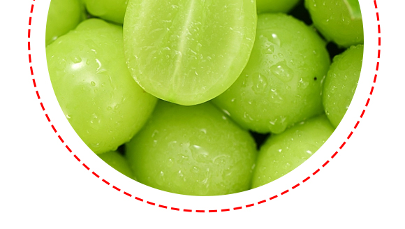 (l)--a(chn)Ʒ(hu)(c)_08