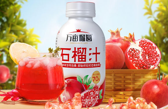 ɽ�|���M(j��n)������޹�˾-ʯ��֭����(c��)_02