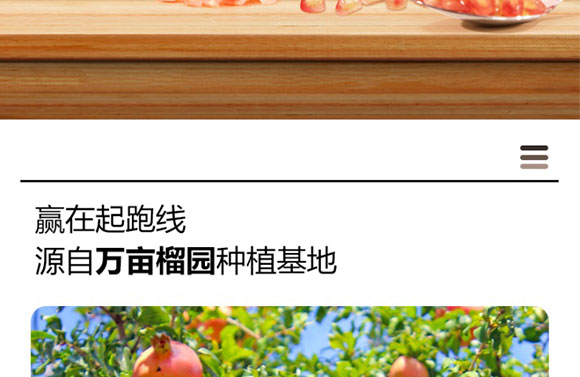 ɽ�|���M(j��n)������޹�˾-ʯ��֭����(c��)_03