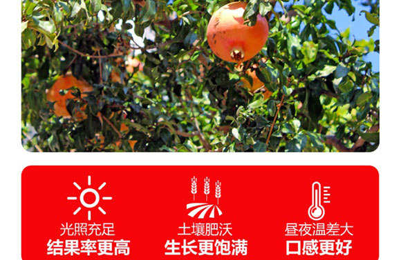 ɽ�|���M(j��n)������޹�˾-ʯ��֭����(c��)_05