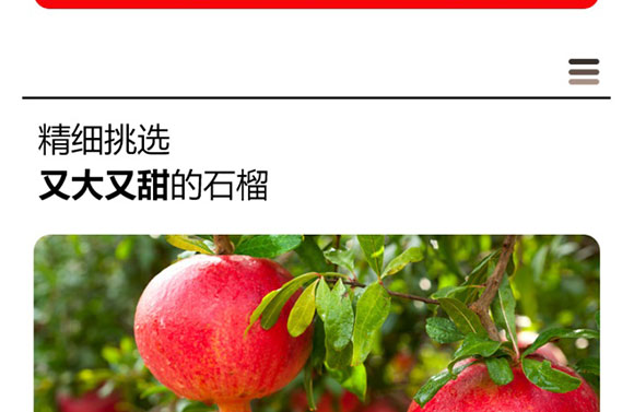 ɽ�|���M(j��n)������޹�˾-ʯ��֭����(c��)_06