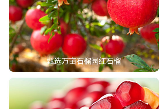 ɽ�|���M(j��n)������޹�˾-ʯ��֭����(c��)_07