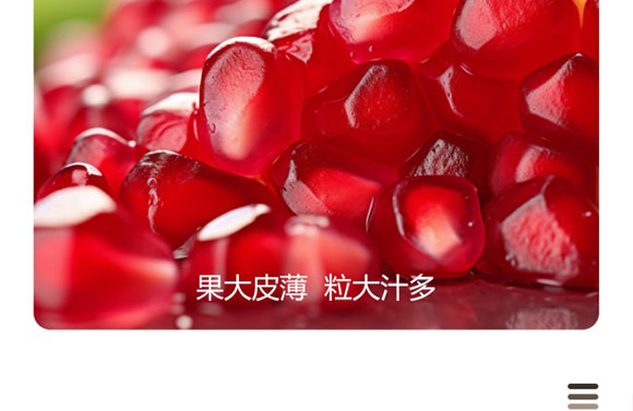 ɽ�|���M(j��n)������޹�˾-ʯ��֭����(c��)_08