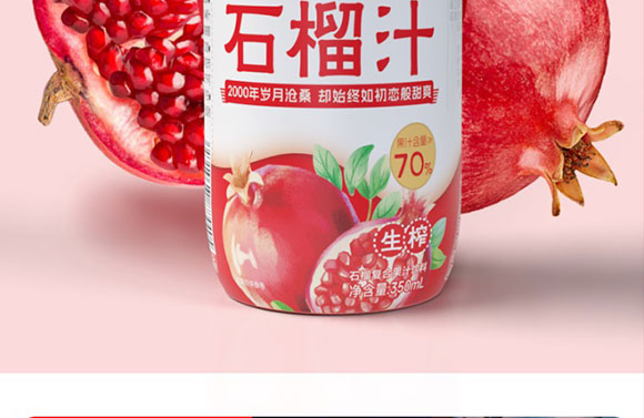 ɽ�|���M(j��n)������޹�˾-ʯ��֭����(c��)_13