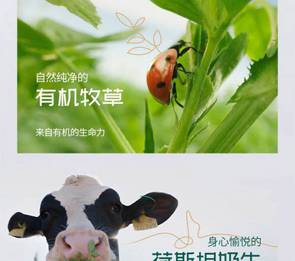 ��(n��i)�ɹ���ţʥ���߿���Ʒ���޹�˾-����_05