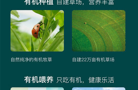 ��(n��i)�ɹ���ţʥ���߿���Ʒ���޹�˾-��ţ��_06