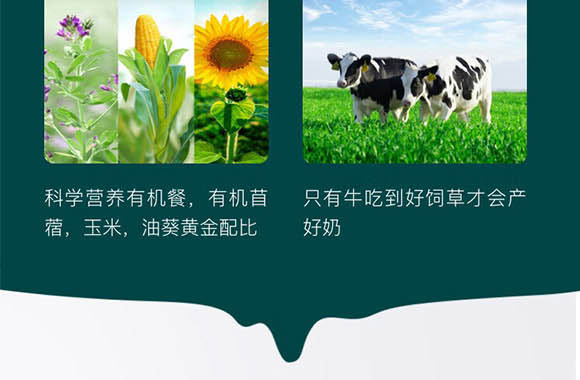 ��(n��i)�ɹ���ţʥ���߿���Ʒ���޹�˾-��ţ��_07