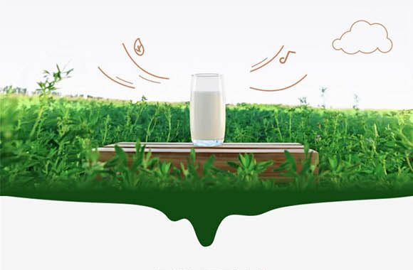 ��(n��i)�ɹ���ţʥ���߿���Ʒ���޹�˾-��ţ��_11