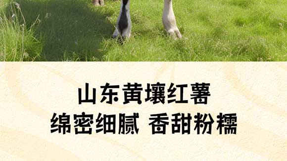 ɽ�|���M(j��n)������޹�˾-11_09