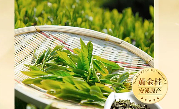 �V��Ľ�pʳƷ�Ƽ����޹�˾--�a(ch��n)Ʒ����(c��)3_05