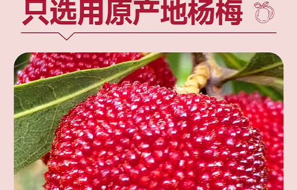 ���݄ӿ�ʳƷ�������޹�˾-3_05