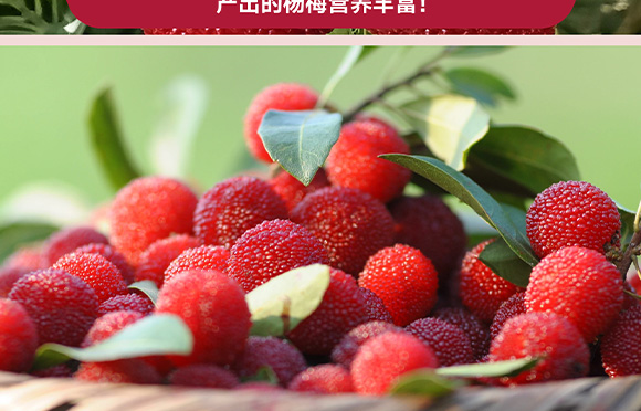 ���݄ӿ�ʳƷ�������޹�˾-3_09