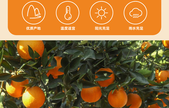 ���݄ӿ�-3_07