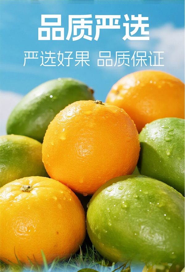 ΢ňDƬ_2025-10-23_160742_386_05